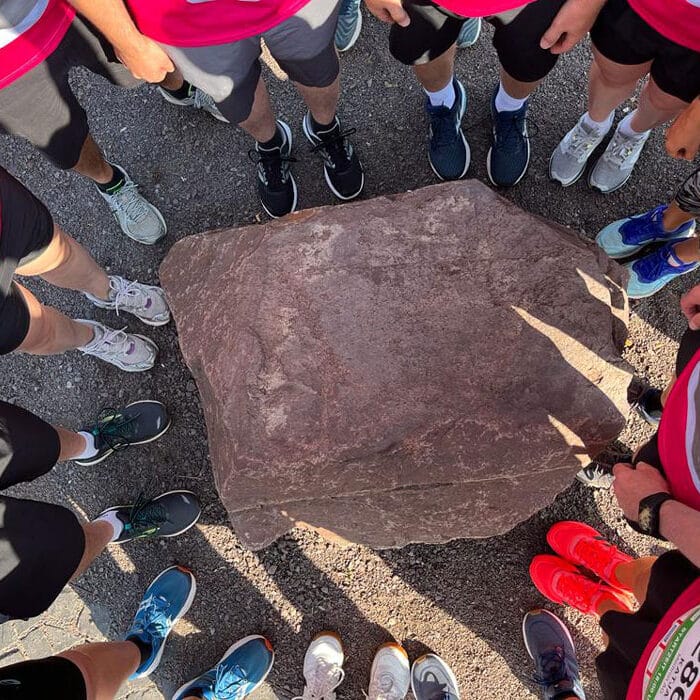 Team MEDTRON beim Dillinger Firmenlauf